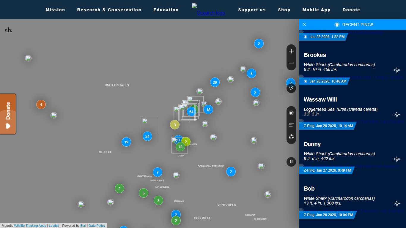 OCEARCH Shark Tracker